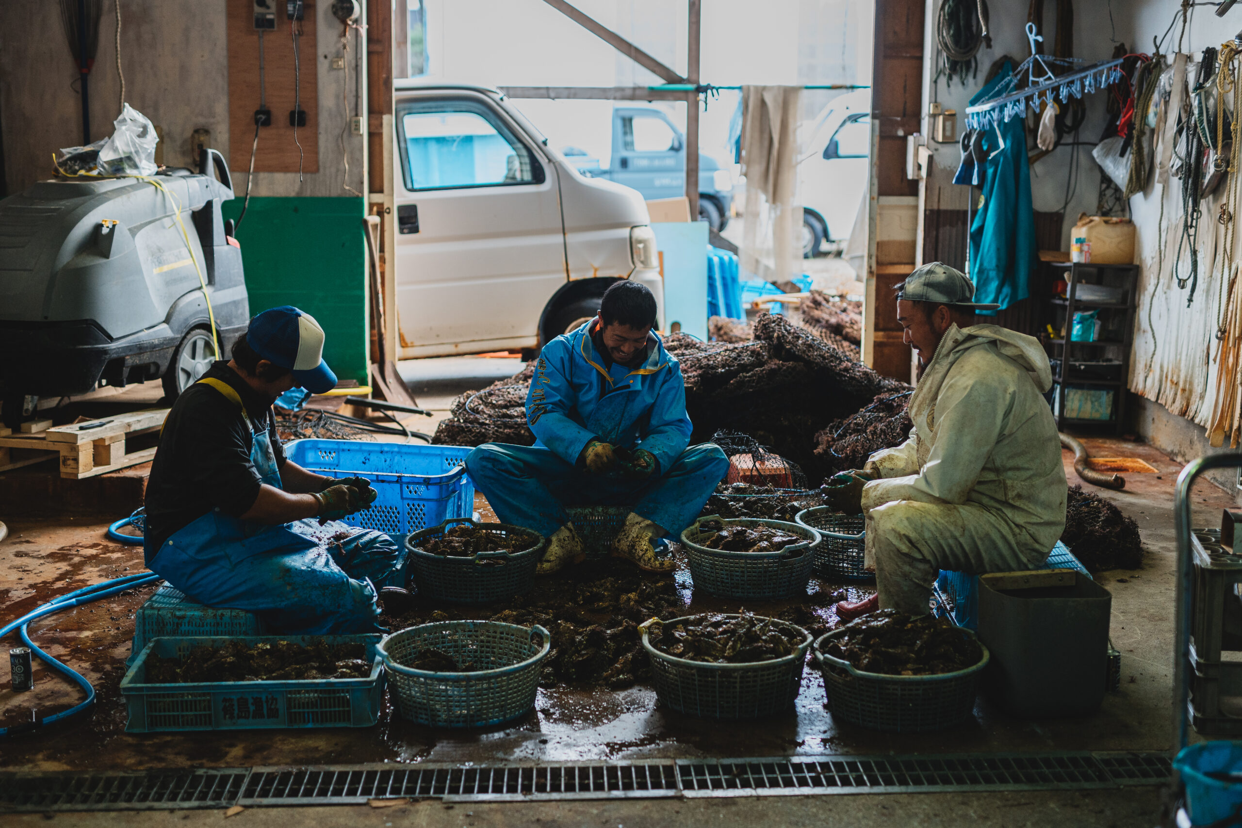 虎丸牡蠣（とらまるがき）
